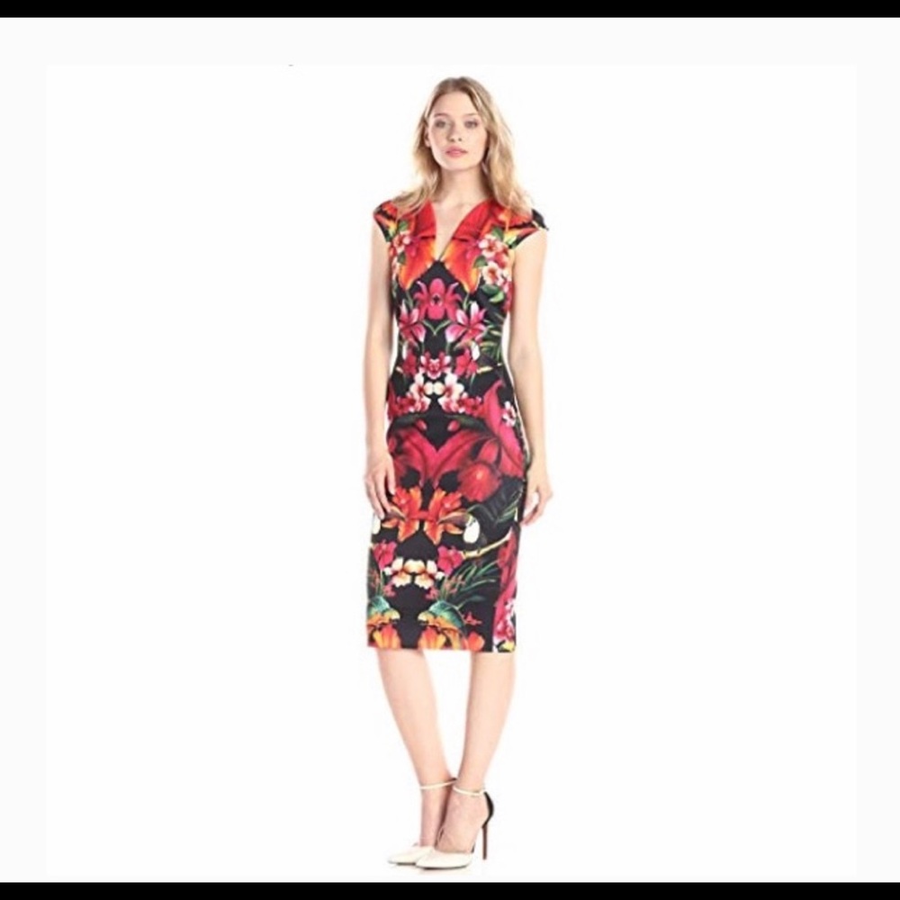 Ted Baker Black and Red Floral Dress
